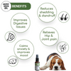 Papa Pawsome Hemp Seed Oil for Dogs Dogs-Health & Wellness Papa Pawsome