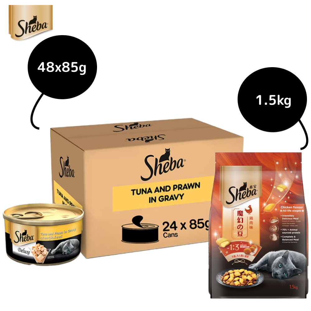 Sheba Tuna Fillet & Whole Prawns in Gravy Premium Cat Wet Food and Chicken Flavour Irresistible All Life Stage Cat Dry Food Combo