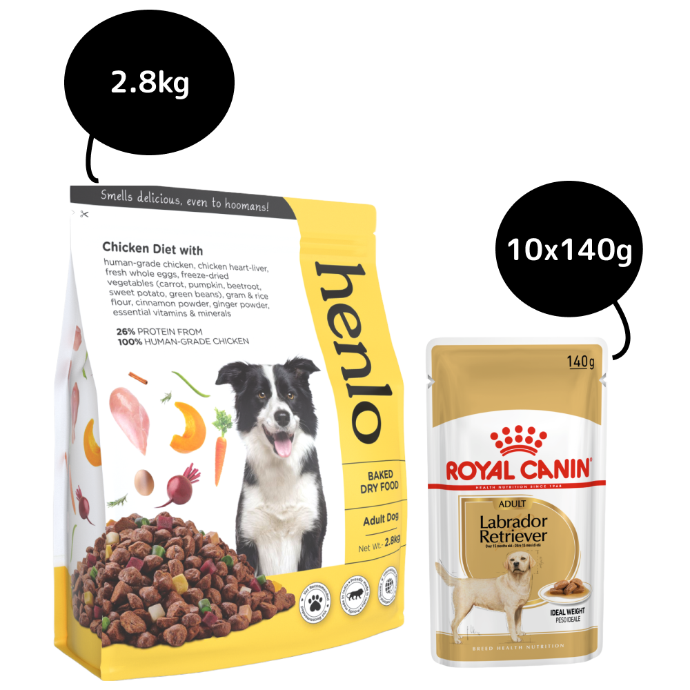Henlo Baked Adult Dry Food and Royal Canin Chunks In Gravy Labrador Retriever Adult Wet Dog Food Combo Exclusive Combo Exclusive Combo 2.8kg + 10x140g