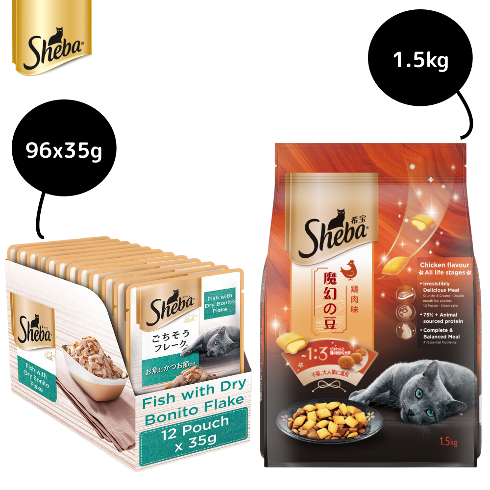 Sheba Fish with Dry Bonito Flake Premium Cat Wet Food and Chicken Flavour Irresistible All Life Stage Cat Dry Food Combo Exclusive Combo Sheba 96x35g + 1.5kg