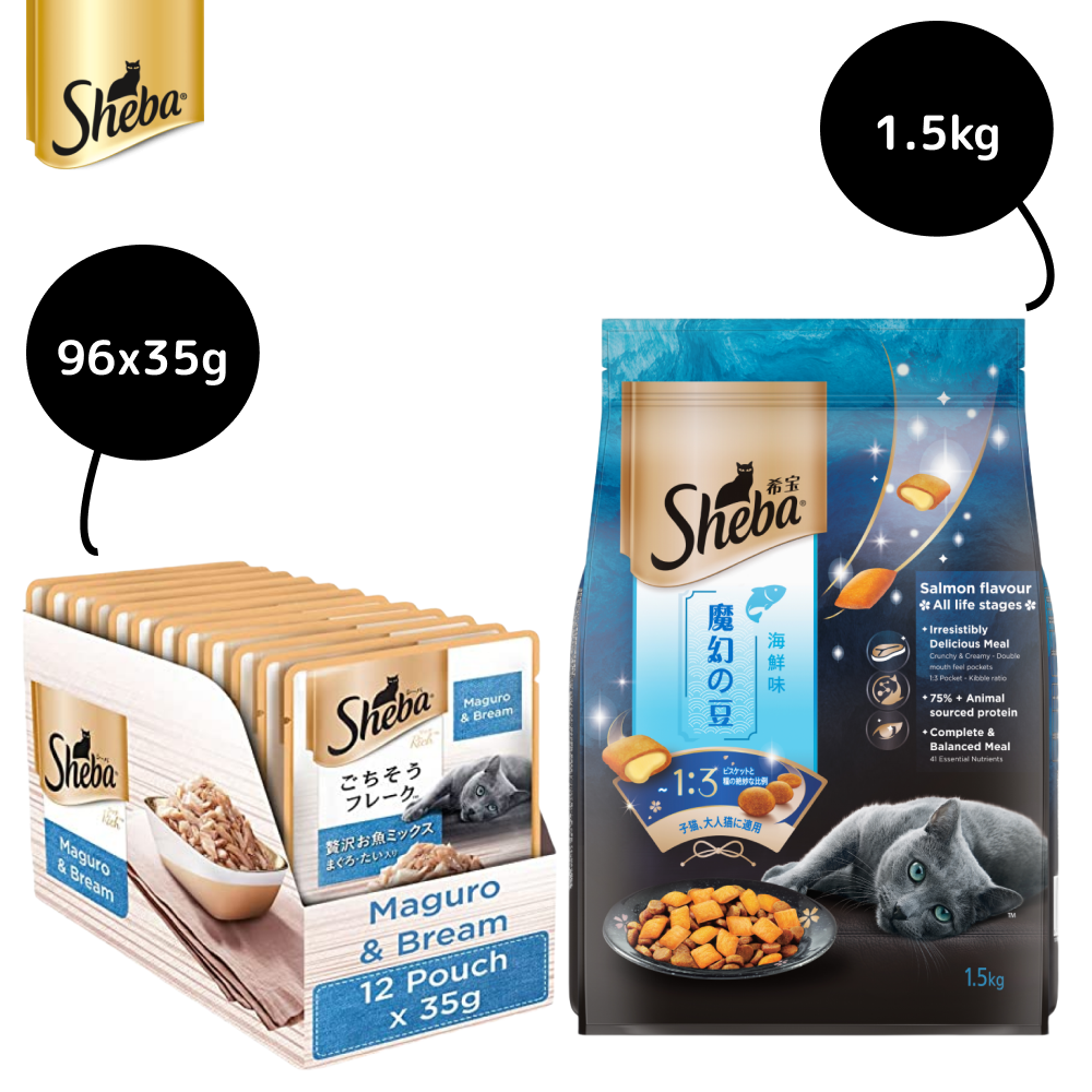 Sheba Maguro & Bream Fish Mix Premium Cat Wet Food and Salmon Flavour Irresistible All Life Stages Cat Dry Food Combo Exclusive Combo Sheba 96x35g + 1.5kg