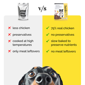 Henlo Chicken & Vegetable Baked Puppy Dog Dry Food | 100% Human Grade Ingredients