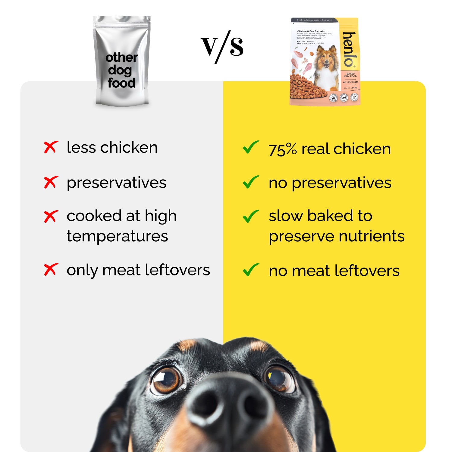 Henlo Chicken and Egg Baked Dry Food for Adult Dogs & Puppies | 100% Human Grade Ingredients