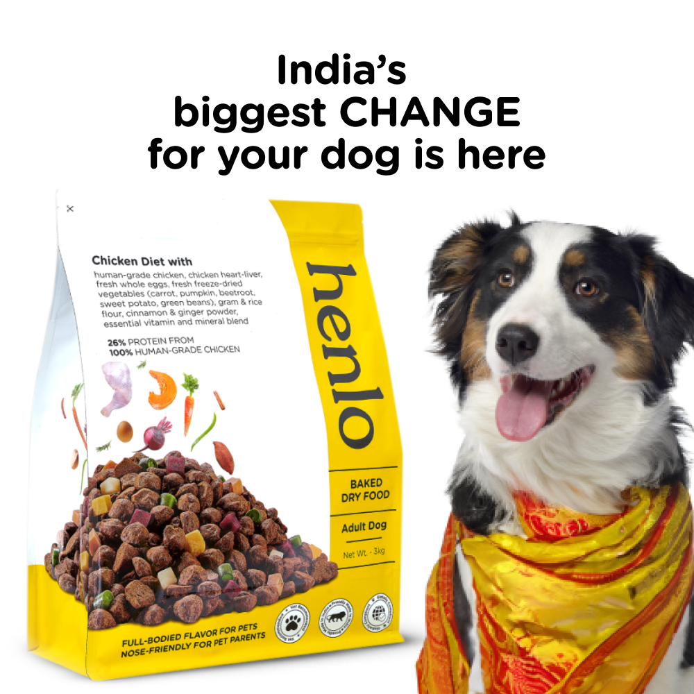Henlo Baked Adult Dog Dry Food and Gnawlers Calcium Milk Bone Dog Treats Combo