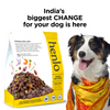 Henlo Baked Adult Dry Food and Gnawlers Oat Bone Dog Treats Combo Exclusive Combo Exclusive Combo