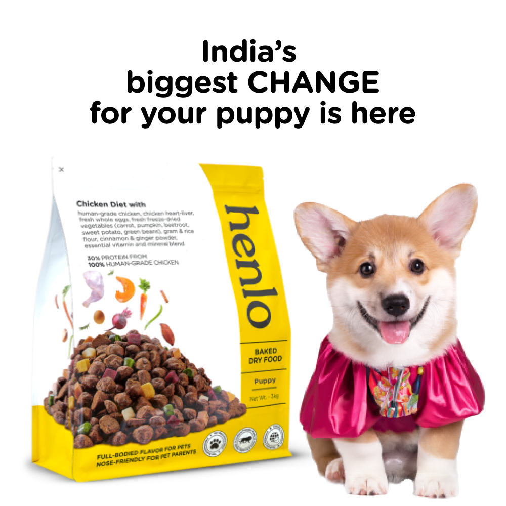 Henlo Baked Puppy Dry Food and Royal Canin Medium Puppy Wet Food Combo