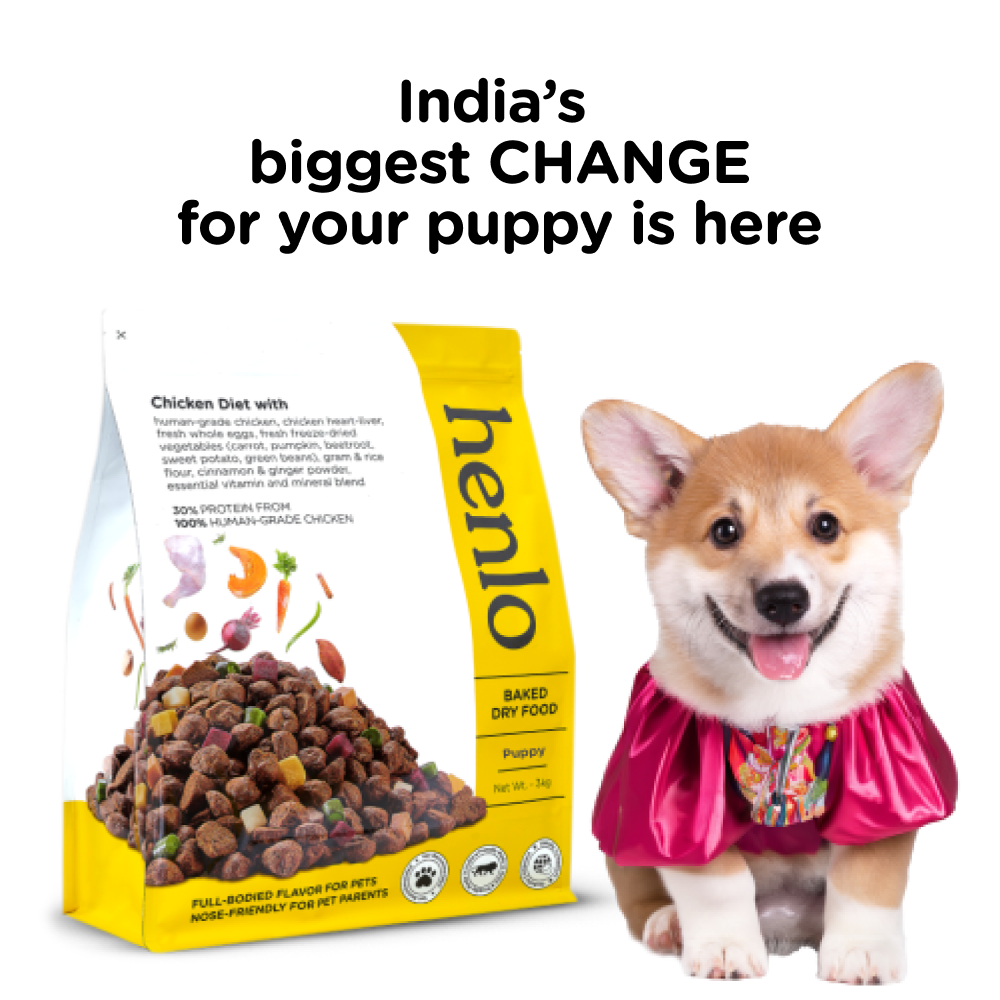 Henlo Chicken & Vegetable Baked Dry Food for Puppies | 100% human grade ingredients