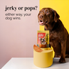 Henlo Everyday Topper for Home Cooked Food and Chicken Jerky Treats for Dogs Combo Dogs- Dry Food Henlo