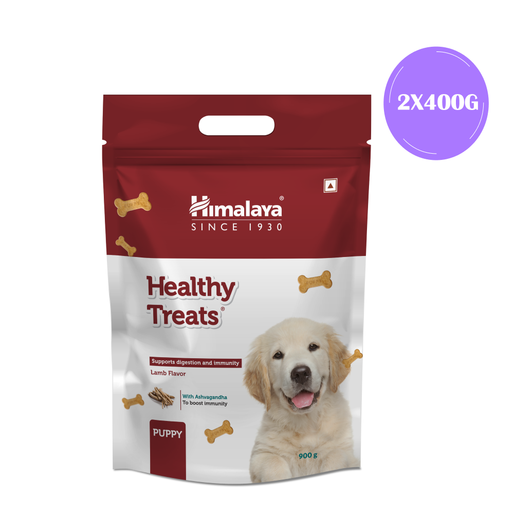 Fashion himalaya dog biscuits