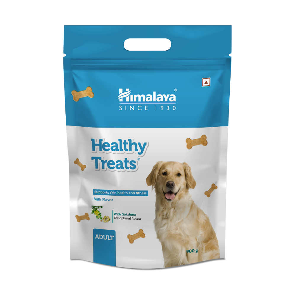 Himalaya Milk Flavour Healthy Adult Dog Treats