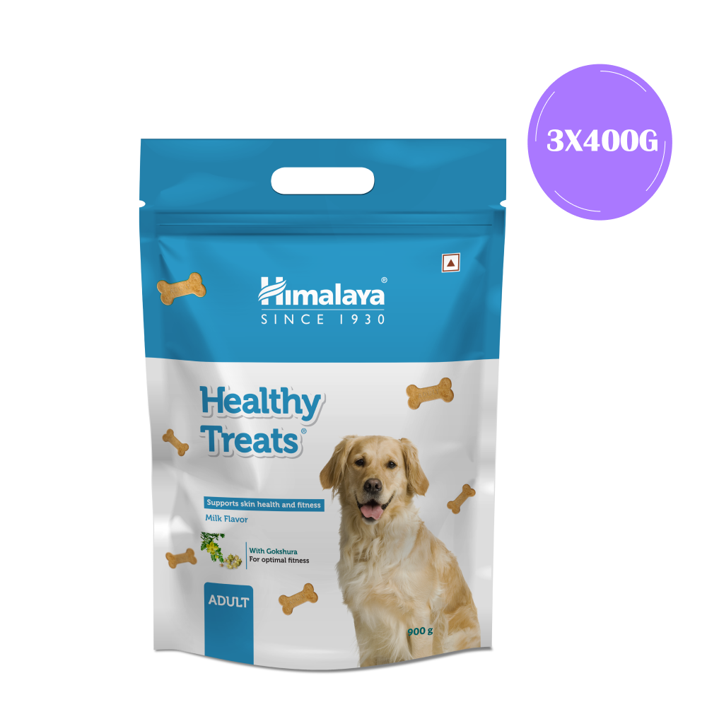 Himalaya Milk Flavour Healthy Adult Dog Treats Supertails