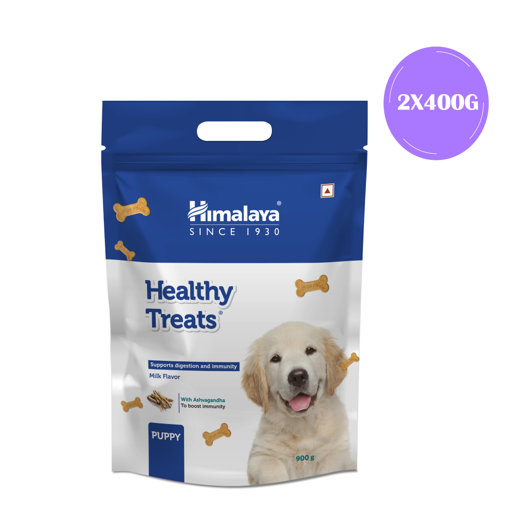 Himalaya Milk Flavour Healthy Puppy Dog Treats