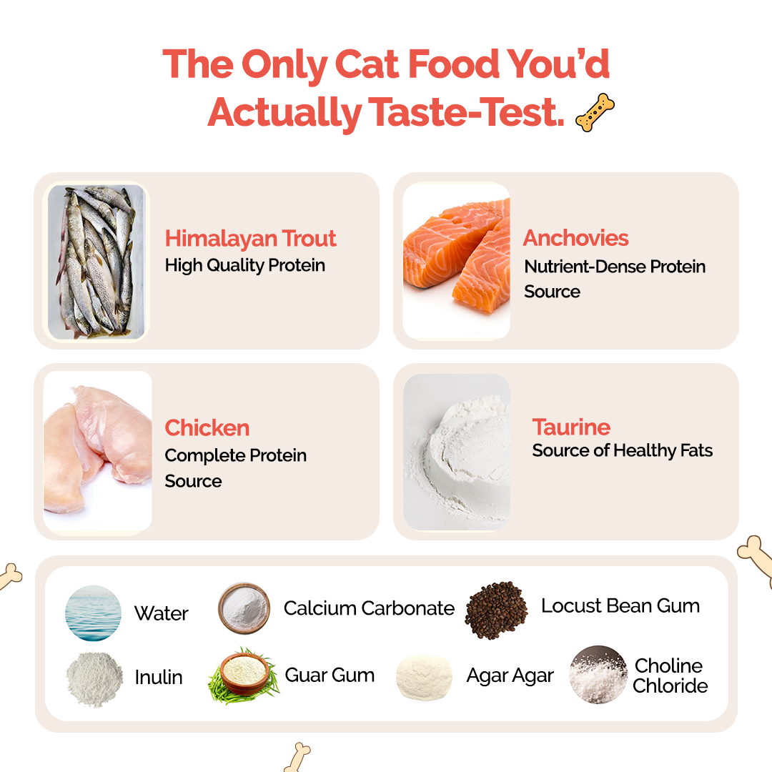 Goofy Tails Himalayan Trout & Anchovies Cat Wet Food