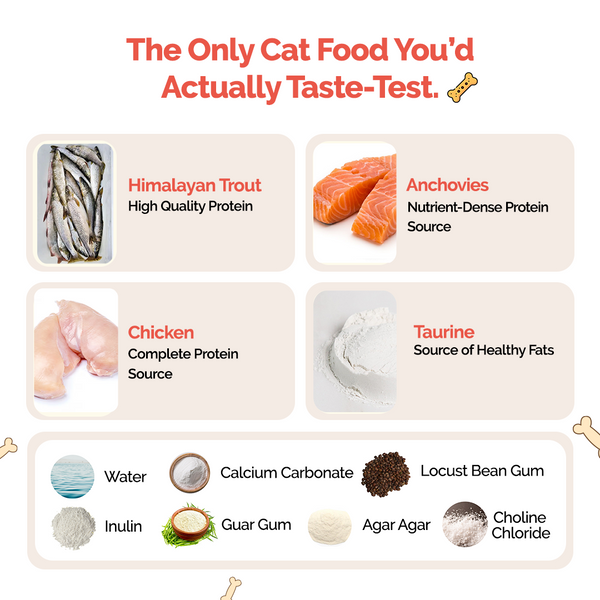 Goofy Tails Himalayan Trout & Anchovies Cat Wet Food