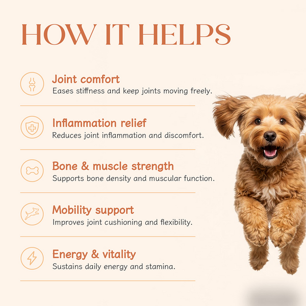 Hope Chicken Flavoured Hip and Joint Health Supplement for Dogs