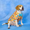 Dogobow Hot air Ballon Print Shirt for Dogs (Orange/Blue) Dogs-Clothing & Accessories Dogobow Dropship