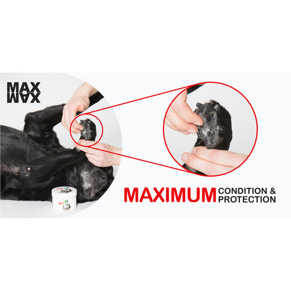 PawZ MaxWax Paw Balm for Dogs (White)