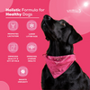 Venttura Lacto Plus Milk Boosters Chewable Tablets for Dogs Both-Health & Wellness Venttura