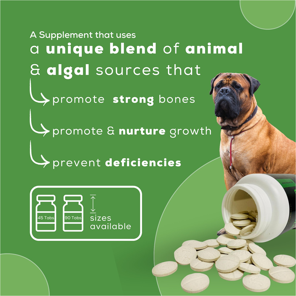 Venttura Calci Pro Plus Chewable Calcium Supplement Tablets for Dogs Both-Health & Wellness Venttura