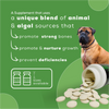Venttura Calci Pro Plus Chewable Calcium Supplement Tablets for Dogs Both-Health & Wellness Venttura