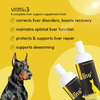 Venttura Livo Plus Liver Supplement Syrup for Dogs Both-Health & Wellness Venttura