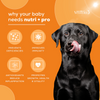 Venttura Nutri Plus Pro Multi Vitamin Chewable Tablets for Dogs Both-Health & Wellness Venttura