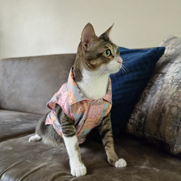 15 Furries Kitty Dreams Shirt for Cats (Multicolour)