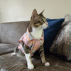 15 Furries Kitty Dreams Shirt for Cats (Multicolour) Cats-Clothing & Accessories 15 Furries Dropship