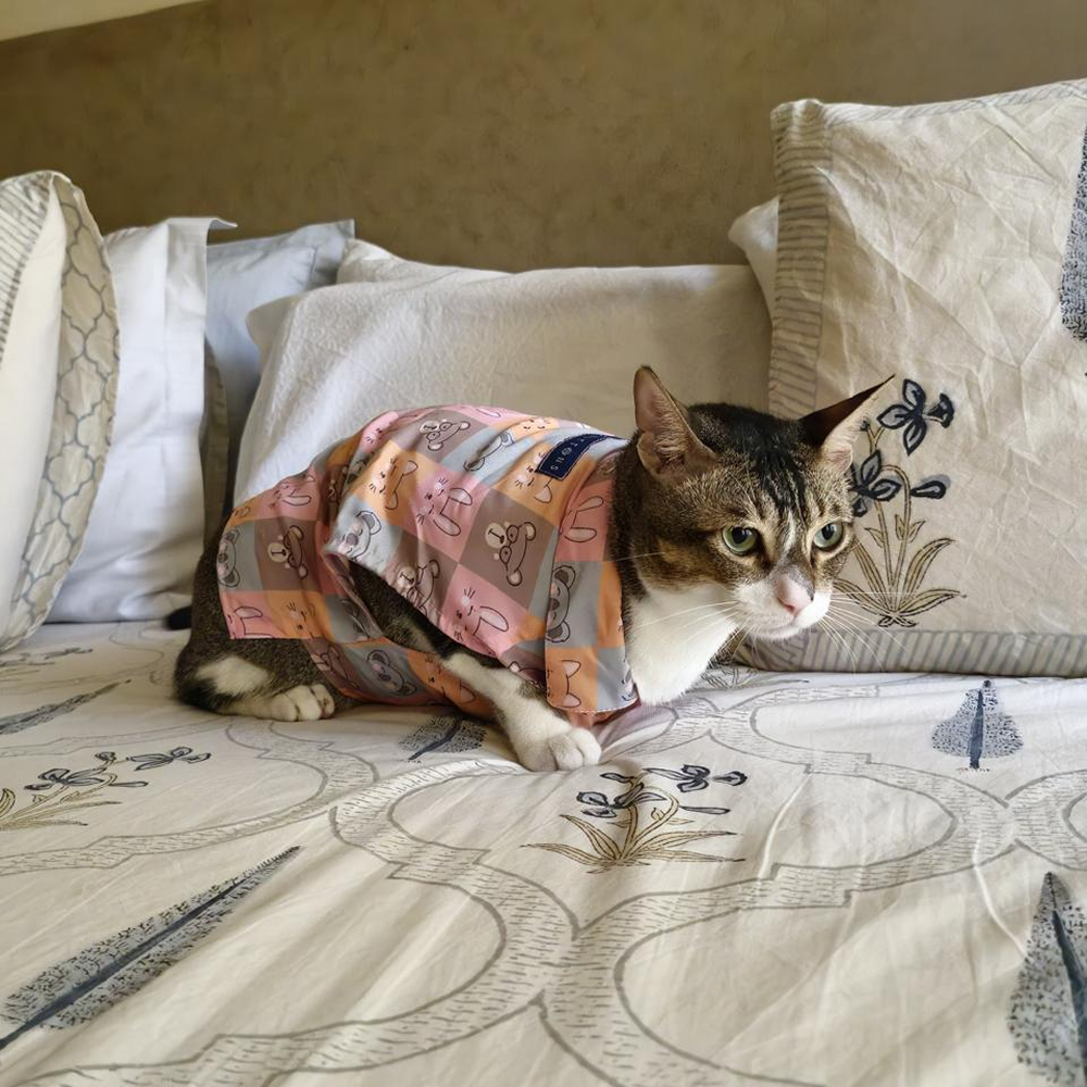 15 Furries Kitty Dreams Shirt for Cats (Multicolour) Cats-Clothing & Accessories 15 Furries Dropship
