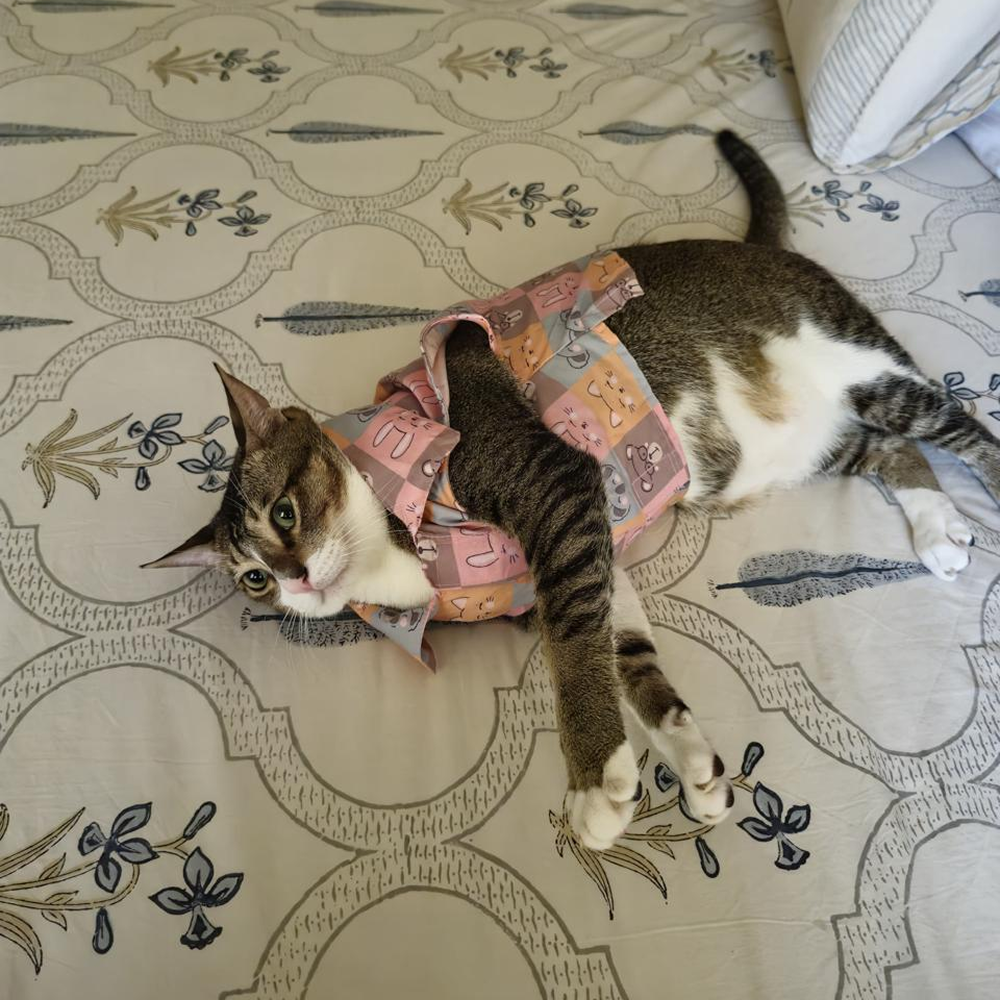 15 Furries Kitty Dreams Shirt for Cats (Multicolour) Cats-Clothing & Accessories 15 Furries Dropship