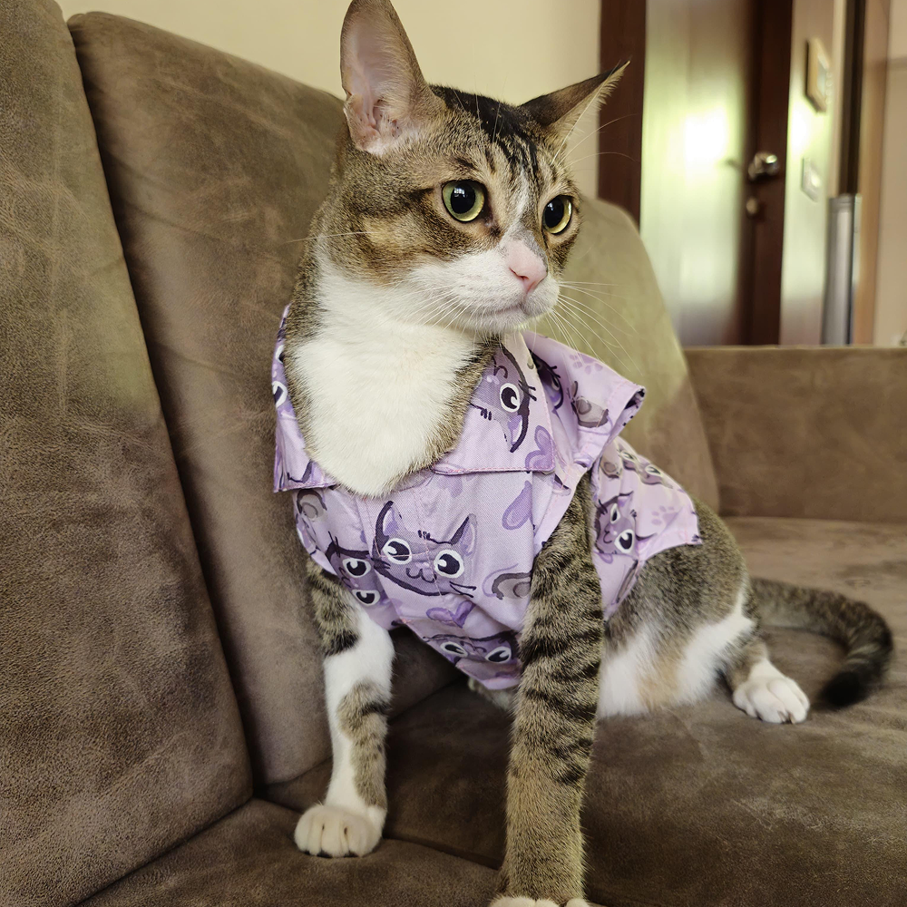 15 Furries Purple Meow Shirt for Cats (Purple) Cats-Clothing & Accessories 15 Furries Dropship