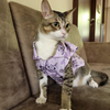 15 Furries Purple Meow Shirt for Cats (Purple) Cats-Clothing & Accessories 15 Furries Dropship