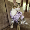 15 Furries Purple Meow Shirt for Cats (Purple) Cats-Clothing & Accessories 15 Furries Dropship