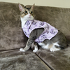 15 Furries Purple Meow Shirt for Cats (Purple) Cats-Clothing & Accessories 15 Furries Dropship XS