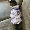 15 Furries Purple Meow Shirt for Cats (Purple) Cats-Clothing & Accessories 15 Furries Dropship
