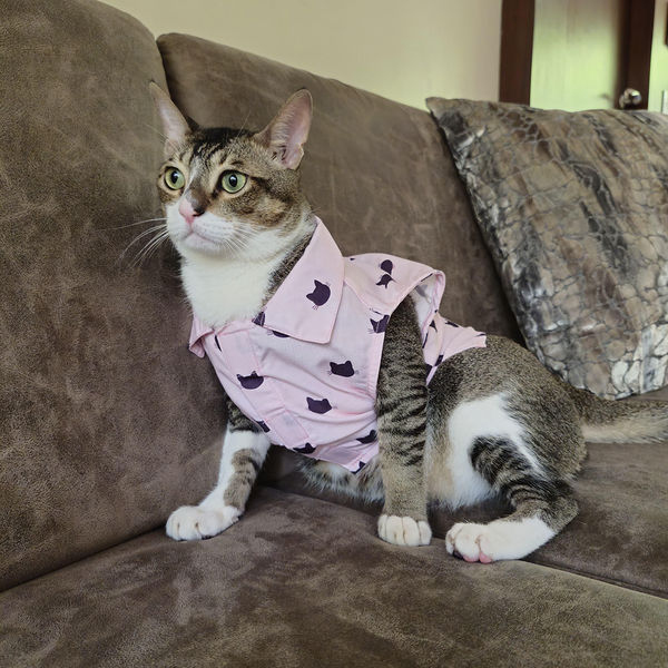 15 Furries Purfect pink Shirt for Cats (Pink)
