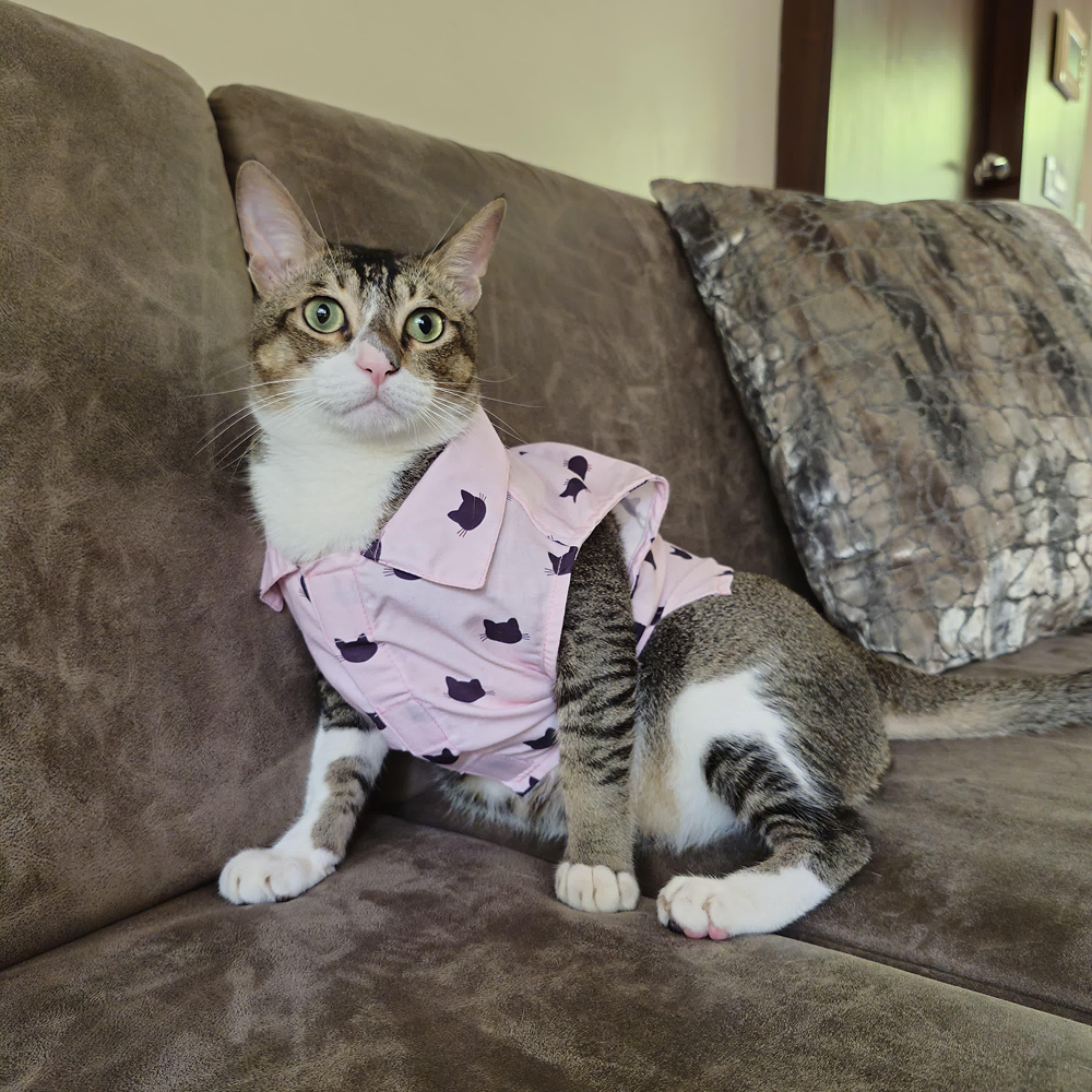 15 Furries Purfect pink Shirt for Cats (Pink) Cats-Clothing & Accessories 15 Furries Dropship