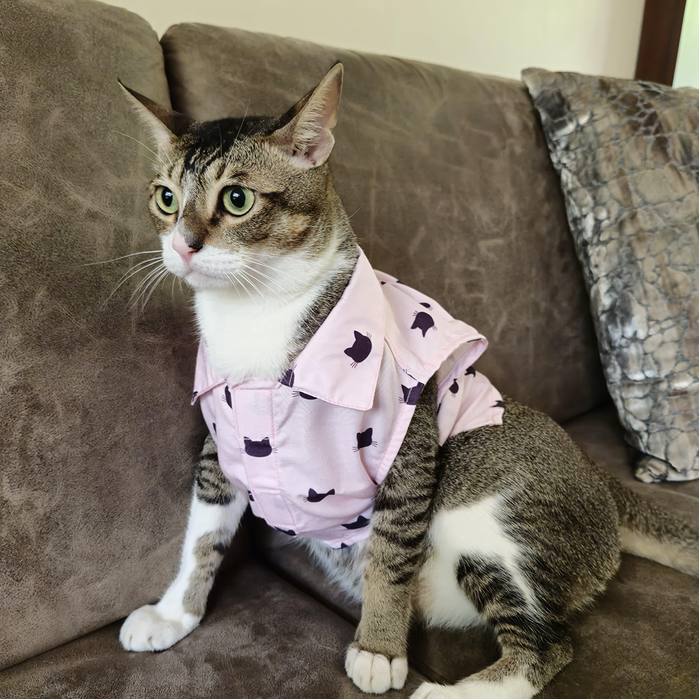 15 Furries Purfect pink Shirt for Cats (Pink) Cats-Clothing & Accessories 15 Furries Dropship