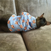 15buttons Tiger Shirt for Cats (Orange and Blue) Cats-Clothing & Accessories 15buttons Dropship