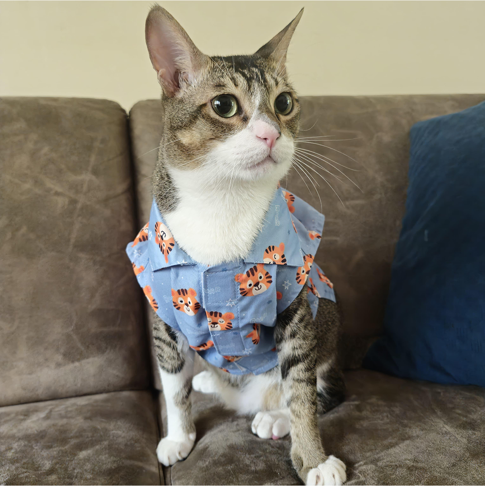 15buttons Tiger Shirt for Cats (Orange and Blue) Cats-Clothing & Accessories 15buttons Dropship
