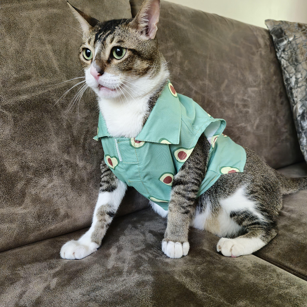 15 Furries Avocado Shirt for Cats (Green)1