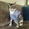 15buttons Tiger Shirt for Cats (Orange and Blue) Cats-Clothing & Accessories 15buttons Dropship