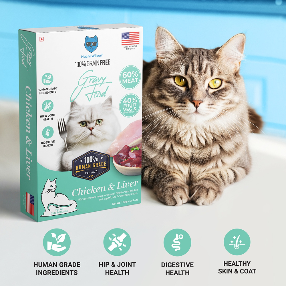 Hachi Wilson Premium Chicken and Liver Gravy Cat Wet Food Cats-Wet Food Hachi Wilson