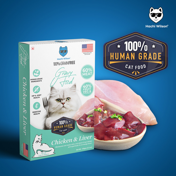 Hachi Wilson Premium Chicken and Liver Gravy Cat Wet Food