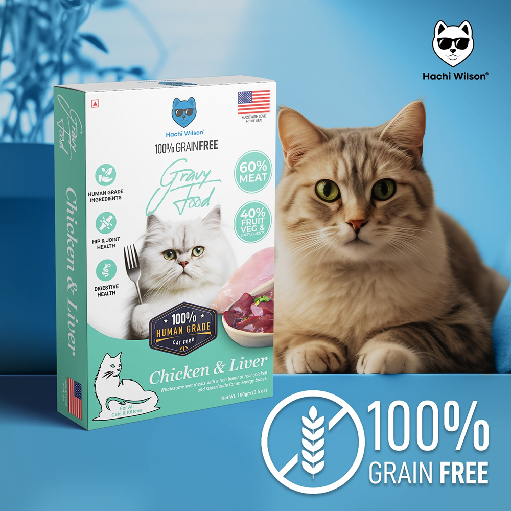 Hachi Wilson Premium Chicken and Liver Gravy Cat Wet Food Cats-Wet Food Hachi Wilson