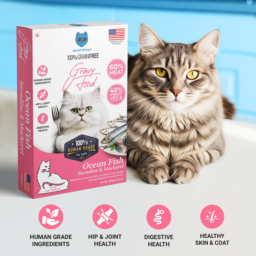 Hachi Wilson Premium Ocean Fish Sardine and Mackerel Gravy Cat Wet Food Cats-Wet Food Hachi Wilson