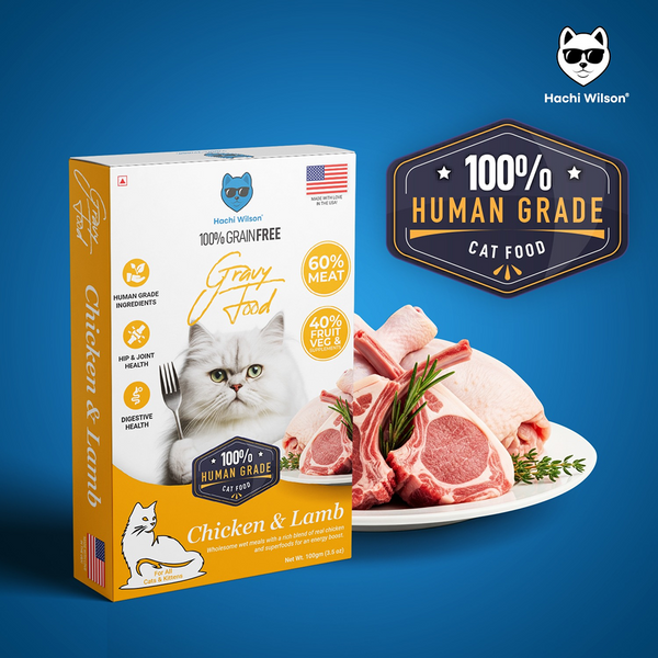 Hachi Wilson Premium Chicken and Lamb Gravy Cat Wet Food