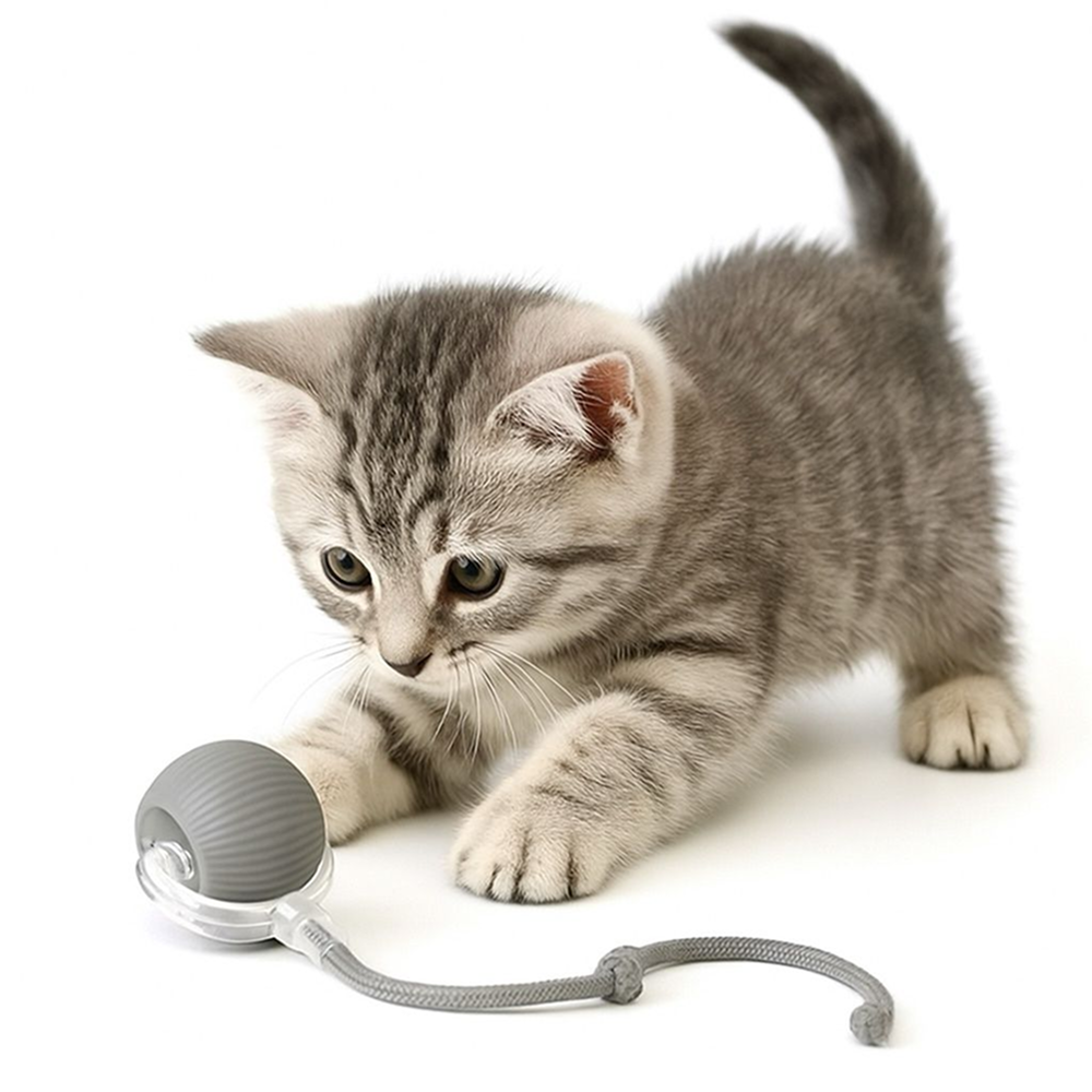 Talking Dog Club Automatic Rotating Interactive LED Ball for Cats, Kittens and Puppies (Grey) Cats-Toys Talking Dog Club Dropship
