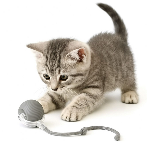 Talking Dog Club Automatic Rotating Interactive LED Ball for Cats, Kittens and Puppies (Grey)