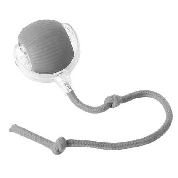 Talking Dog Club Automatic Rotating Interactive LED Ball for Cats, Kittens and Puppies (Grey)
